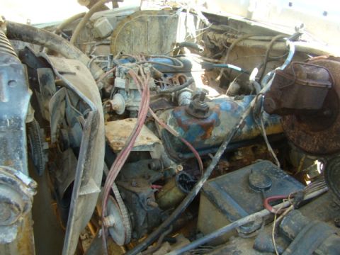 1979 Ford Bronco photo