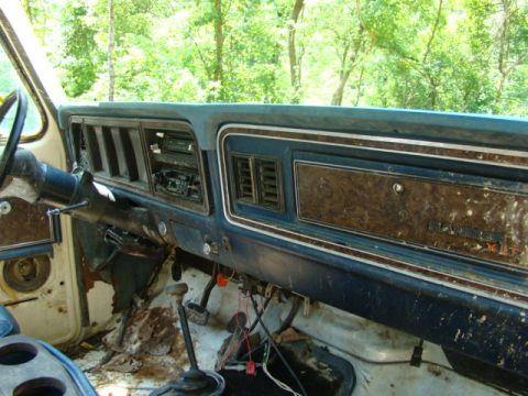 1979 Ford Bronco photo