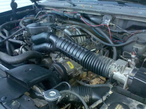 1995 Ford Bronco - Close-up view of an engine bay, showing various components and wiring.