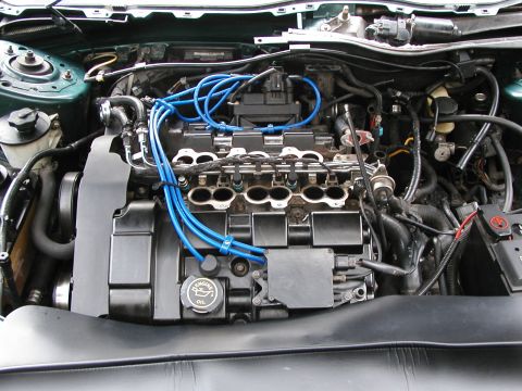 1996 Mercury Sable - The new Taylor wires are on and the intake manifold and a zillion vacuum hoses are off.