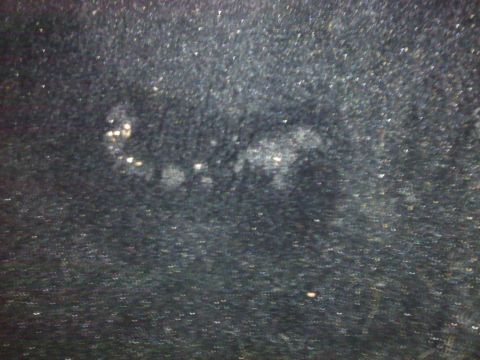 1995 Ford Probe - This image shows a dark, textured surface with scattered light-colored spots, possibly indicating wear or damage.