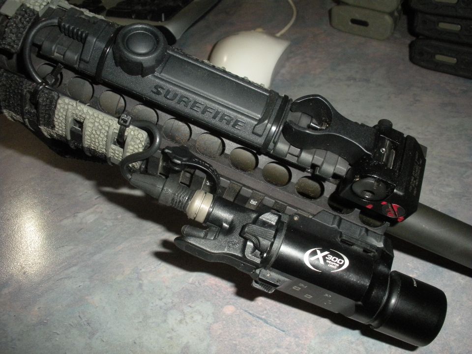 Weapon light and laser sight mounted on a rail system