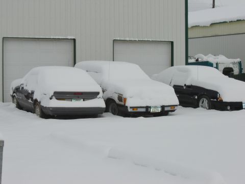 1984 Ford Mustang - Multiple vehicles are buried under a thick blanket of snow outside a garage.