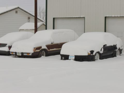 1984 Ford Mustang - Multiple vehicles are parked outside and covered in a thick layer of snow.