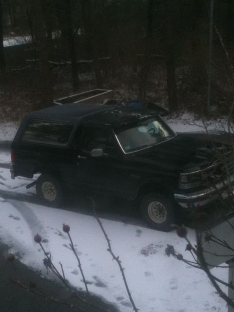 1993 Ford Bronco - A black SUV sits in a snowy environment, partially obscured by branches and foliage.