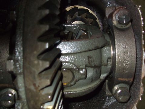 1979 Ford Bronco - The internal workings of a vehicle's differential are shown in this close-up view.