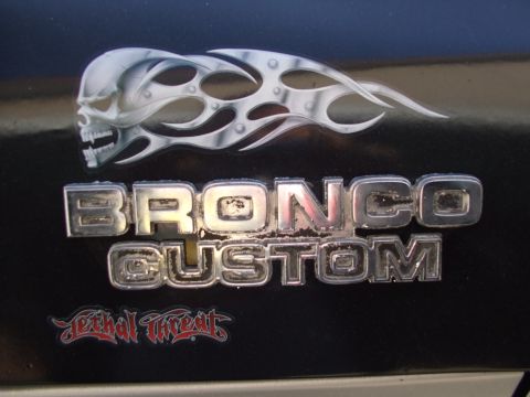 1979 Ford Bronco - Close-up of a 'Bronco Custom' emblem with a skull and flame graphic.