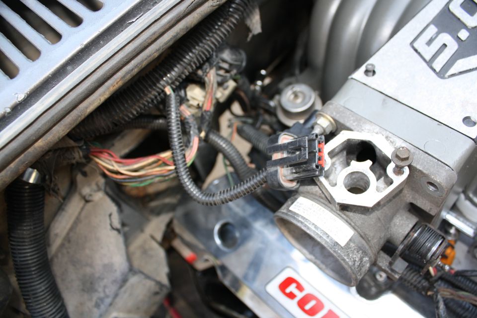 Close-up of a 5.0 throttle body and intake with unplugged TPS connector and engine wiring