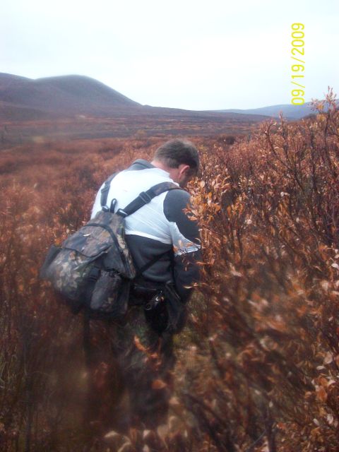 1986 Chevrolet Blazer - A person walks through a brushy, mountainous terrain on an overcast day. The date 09/19/2009 is visible.