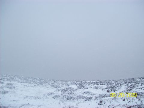 1986 Chevrolet Blazer - A snowy landscape scene with low-lying bushes and a watermark in the lower right corner.