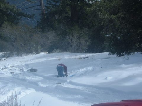 1988 Ford Bronco - A person is kneeling in a snowy landscape, surrounded by trees and snow-covered terrain.