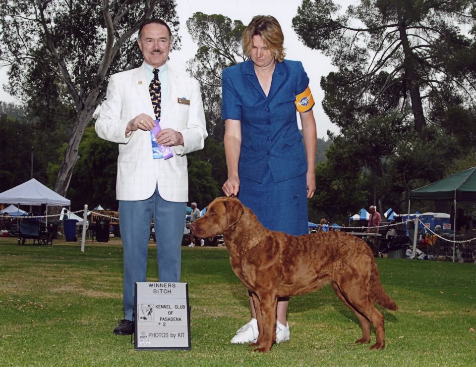 Dog show winners bitch sign with people and a Chesapeake Bay Retriever