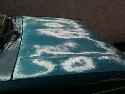 1993 Ford Taurus - The paint on this car's hood is severely weathered and peeling, revealing the primer beneath.