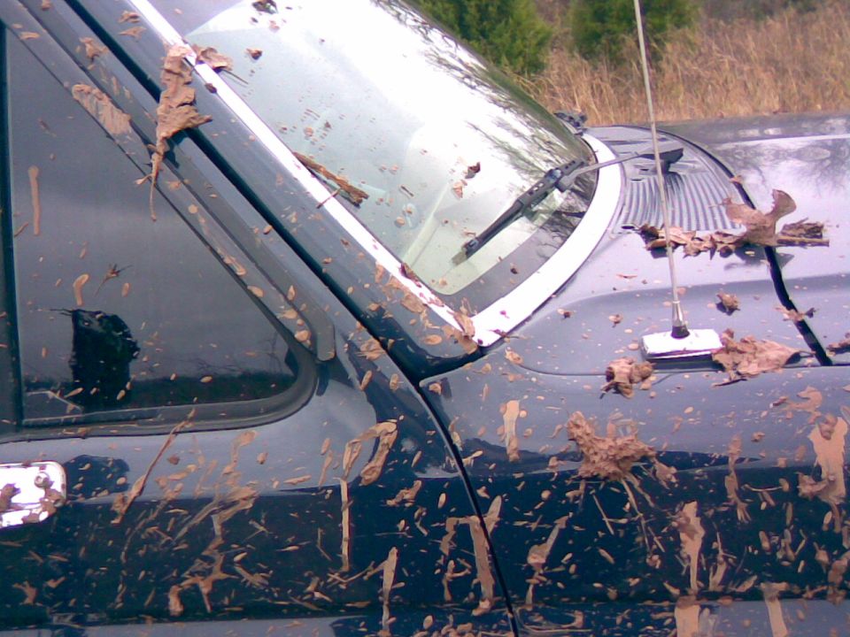 Mud-splattered 1991 Ford Bronco, 3q-front view