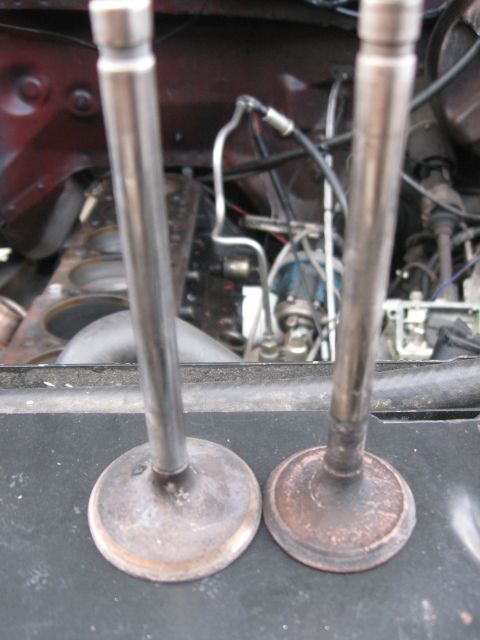 1981 Ford Bronco - Close-up view of two engine valves, with engine components blurred in the background.