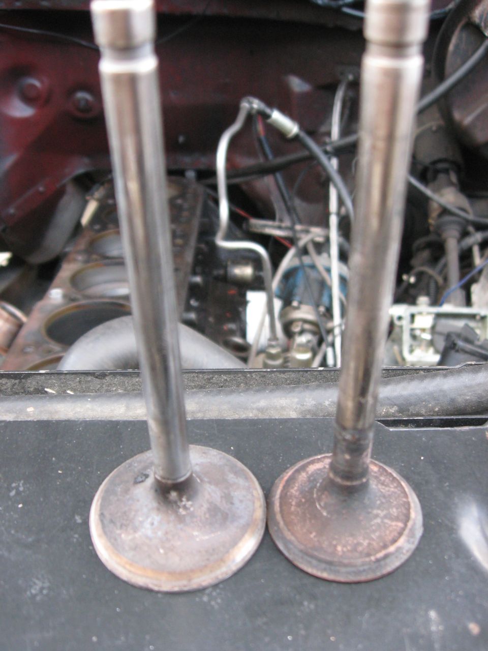 Two engine valves resting on a surface, with an engine block visible in the background