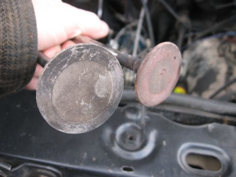 1981 Ford Bronco - Two engine valves are held up for inspection, showing wear and deposits.