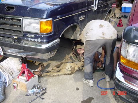 1989 Ford Bronco - Two individuals are working on the undercarriage of a blue Ford truck, with another Ford truck parked beside it.