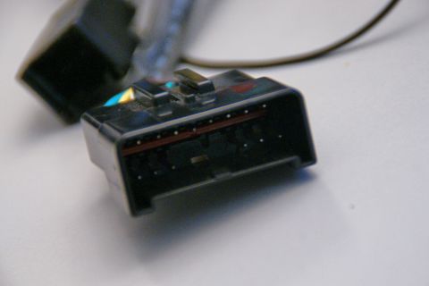 2003 Ford Taurus - Close-up of a black wiring harness connector, showing its pins and a section of blue and yellow wire.