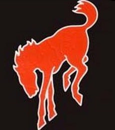 1995 Ford Bronco - This is an emblem for the Ford Bronco, not a photo of the vehicle itself. Text from the website is visible.