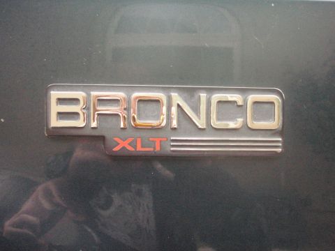 1993 Ford Bronco photo