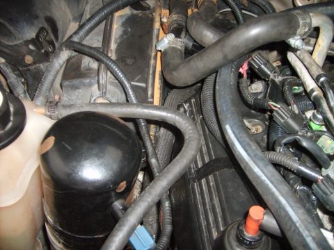 1993 Ford Crown Victoria - Close-up view of engine bay components, including hoses and a coolant reservoir.