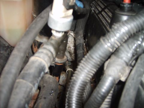 1993 Ford Crown Victoria - Close-up view of various hoses and electrical conduits within a vehicle's engine compartment.