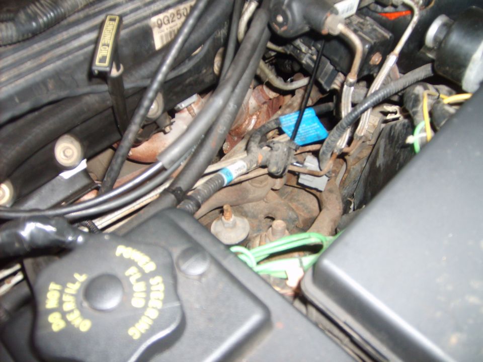 Engine bay with power steering fluid reservoir cap and various hoses and wires visible