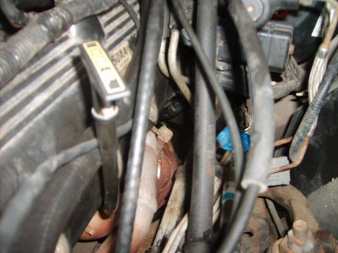 1993 Ford Crown Victoria - A view of the engine compartment, focusing on various mechanical components and wiring.