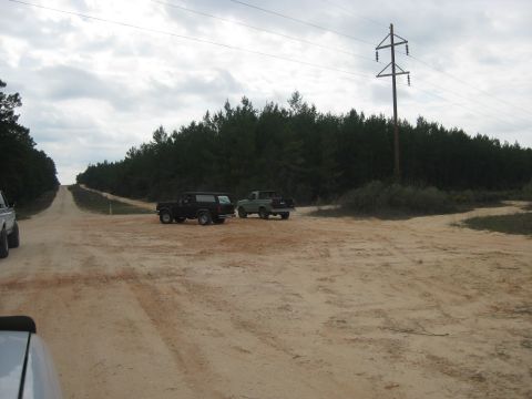 1994 Ford Bronco - Two SUVs are parked on a dirt road in a wooded area under a cloudy sky.