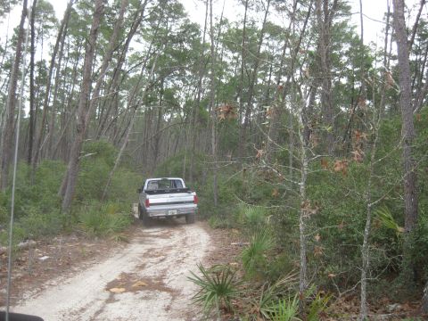 1994 Ford Bronco - A silver pickup truck navigates a dirt path in a wooded area.