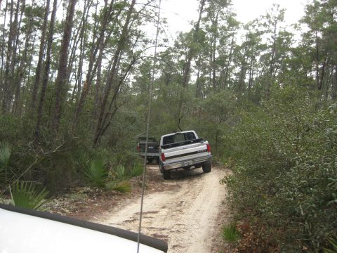1994 Ford Bronco - Two pickup trucks navigate a sandy track in a wooded area.