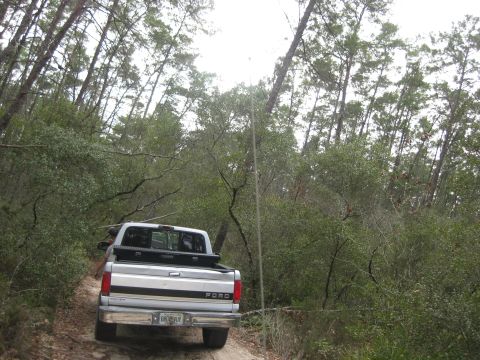 1994 Ford Bronco - A silver Ford pickup truck drives down a dirt path surrounded by trees in a forest.