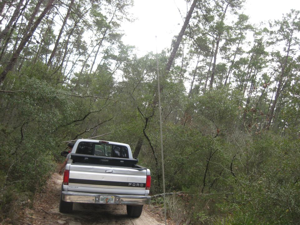 Silver Ford pickup truck on a dirt road in a wooded area. License plate is visible