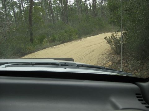 1994 Ford Bronco - Driving through a sandy forest road, the view from inside the vehicle shows the path ahead and surrounding trees.