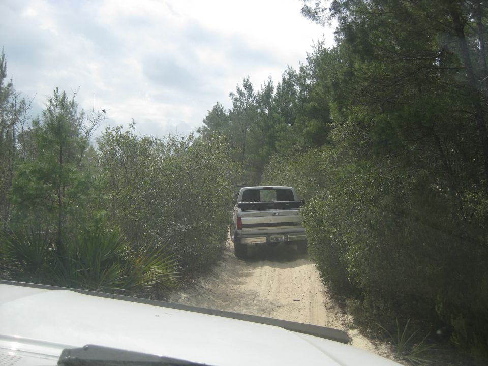 Silver pickup truck with black spoiler driving on a dirt road through trees