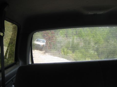 1994 Ford Bronco - A white SUV navigates a dirt path surrounded by dense foliage.