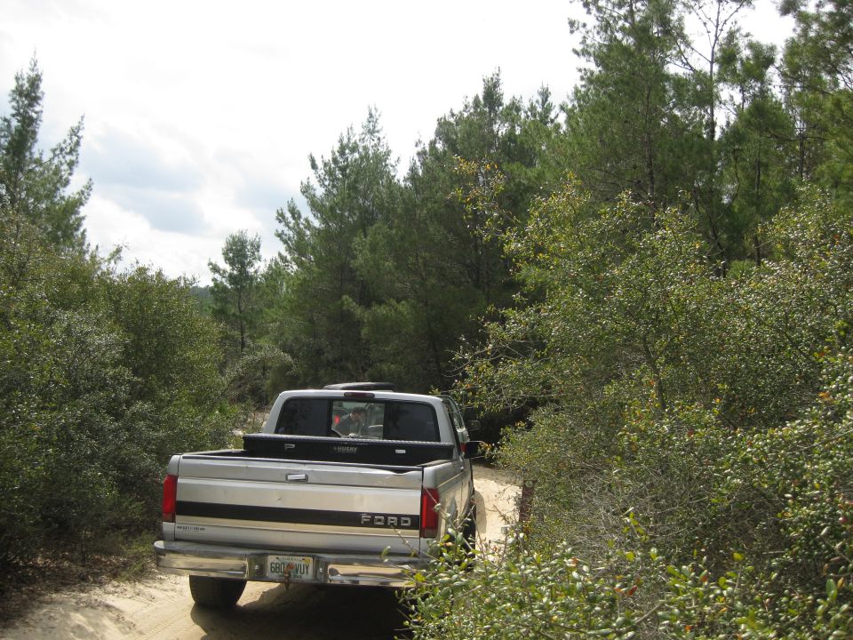 Silver Ford pickup truck with a black toolbox in the bed, driving on a dirt road through trees