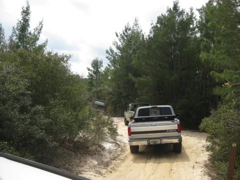 1994 Ford Bronco - A 1994 Ford Bronco leads a convoy of trucks and an SUV down a sandy forest road.