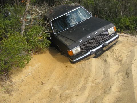 1994 Ford Bronco - A black Ford F-Series truck is stuck in a sandy area, with another vehicle partially obscured by trees in the background.