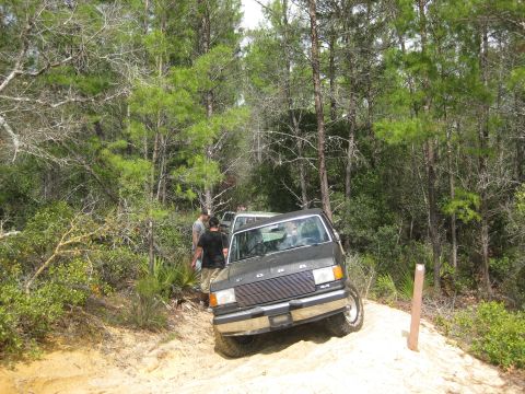 1994 Ford Bronco - A dark SUV drives through a forest trail, with another vehicle following closely behind.