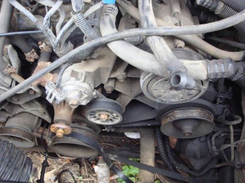 1989 Ford Bronco - Close-up view of an engine bay, showing various hoses and pulleys.