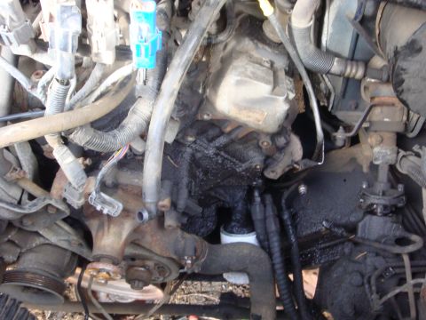 1989 Ford Bronco - The engine bay shows significant oil accumulation, particularly around the engine block and oil filter.