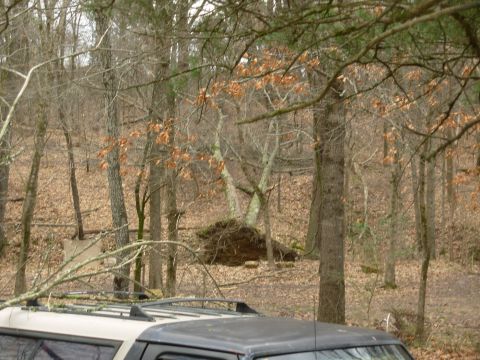 1983 Ford Bronco - A few tornados blew through Thur night, and this was the result.