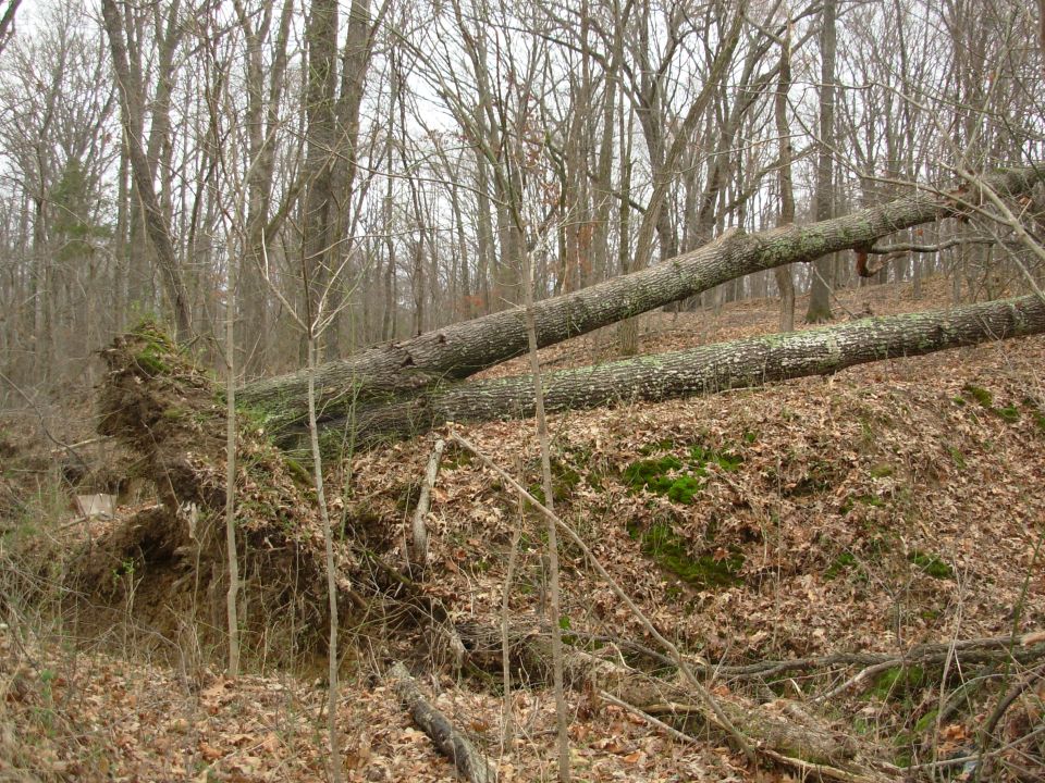 A few tornados blew through Thur night, and this was the result.
