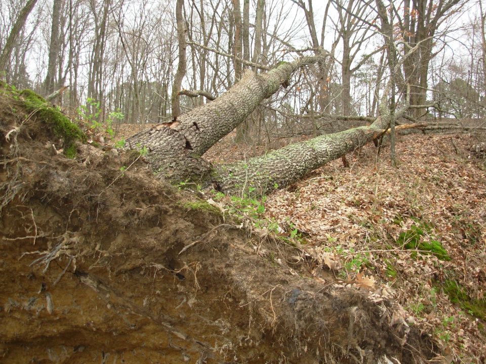 A few tornados blew through Thur night, and this was the result.