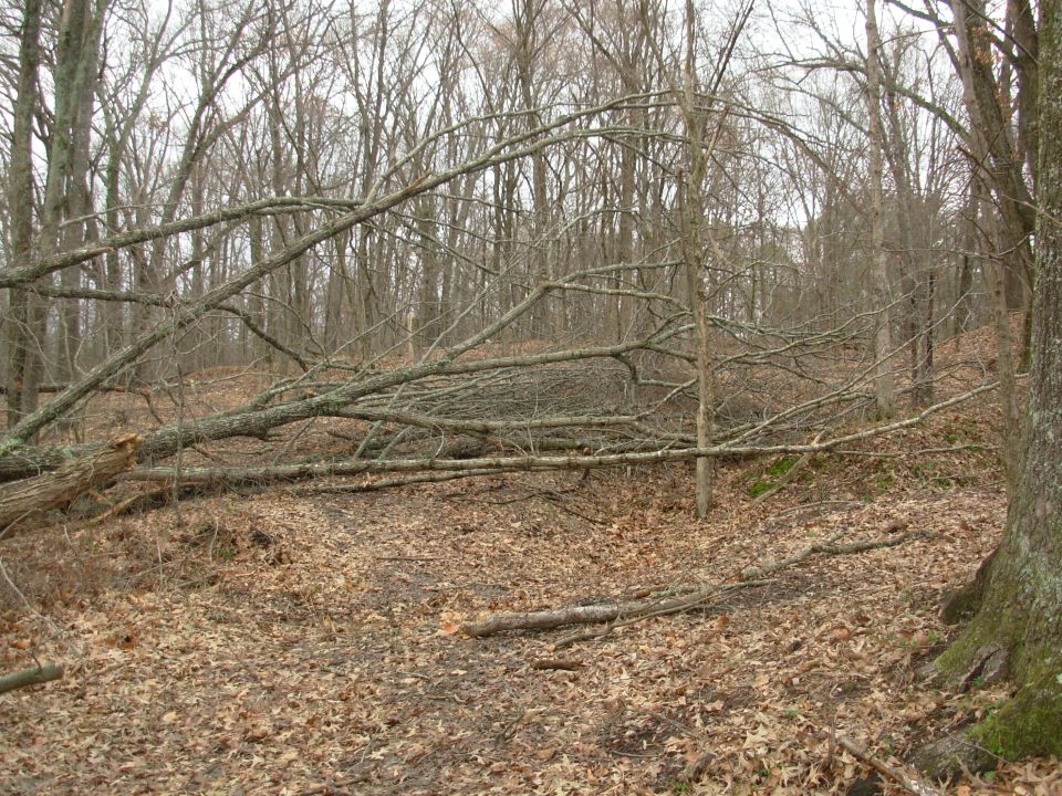 A few tornados blew through Thur night, and this was the result.