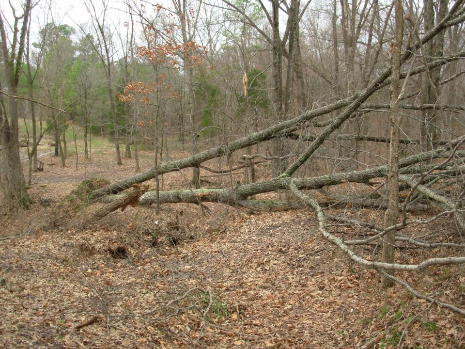 A few tornados blew through Thur night, and this was the result.