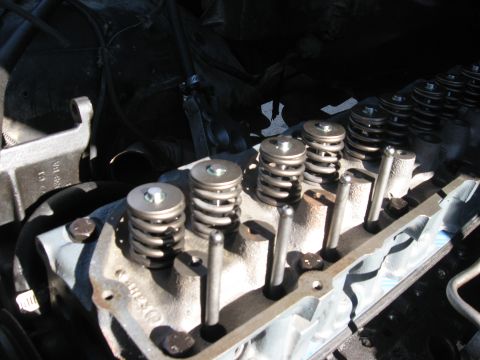1981 Ford Bronco - Close-up view of engine valve springs and pushrods, part of the cylinder head assembly.