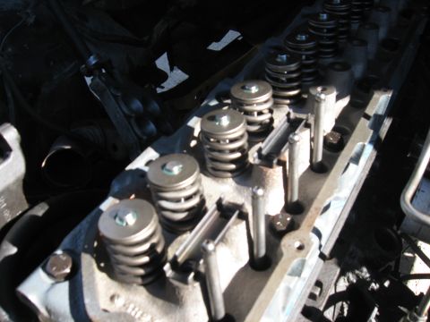 1981 Ford Bronco - Close-up view of engine cylinder head components, including valve springs and pushrods.